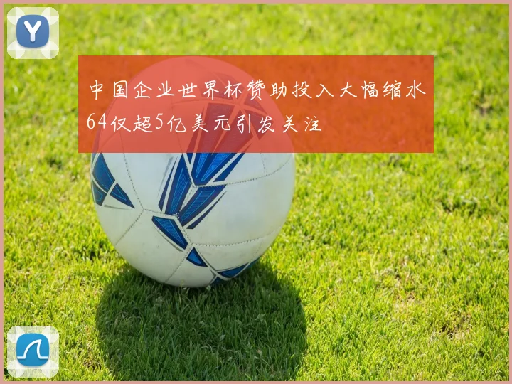 中国企业世界杯赞助投入大幅缩水64仅超5亿美元引发关注